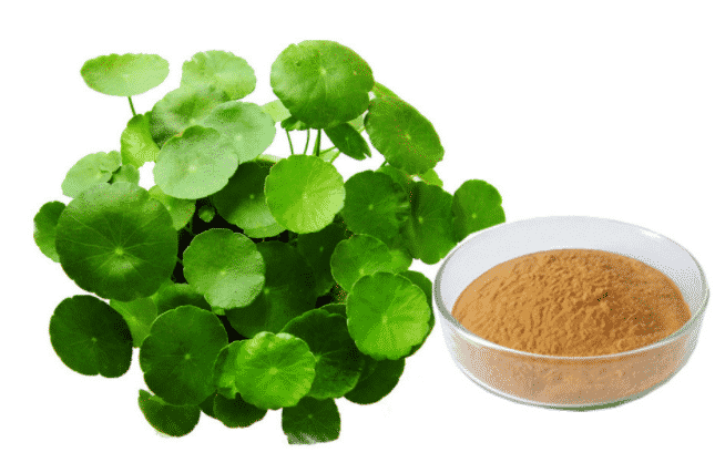 1622282655 Snipaste 2021 05 29 18 01 18 - centella asiatica extract powder